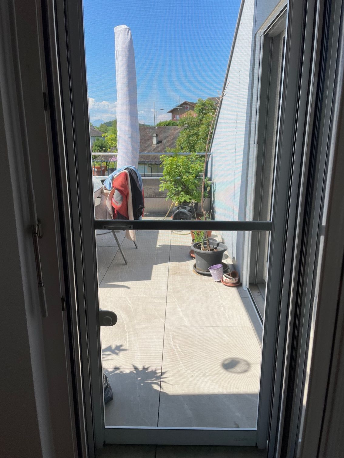 Insektenschutz, Innenbeschattung, Insektenbekämpfung, Obere- und Untere Seetal, Luzern, Aargau