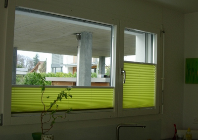 Insektenschutz, Innenbeschattung, Insektenbekämpfung, Obere- und Untere Seetal, Luzern, Aargau