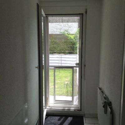 Insektenschutz, Innenbeschattung, Insektenbekämpfung, Obere- und Untere Seetal, Luzern, Aargau