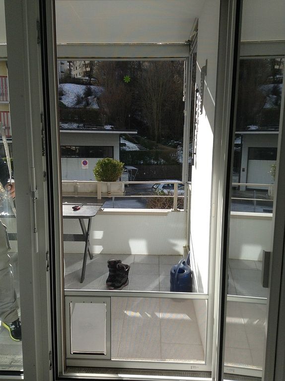 Insektenschutz, Innenbeschattung, Insektenbekämpfung, Obere- und Untere Seetal, Luzern, Aargau