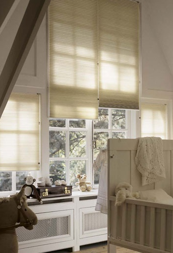 Insektenschutz, Innenbeschattung, Insektenbekämpfung, Obere- und Untere Seetal, Luzern, Aargau