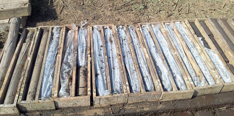 Eine Reihe von Holzstäbchen, die auf einem Holztisch sitzen - IBOTECH Bohr- und Brunnenbau GmbH aus Zöberitz bei Landsberg