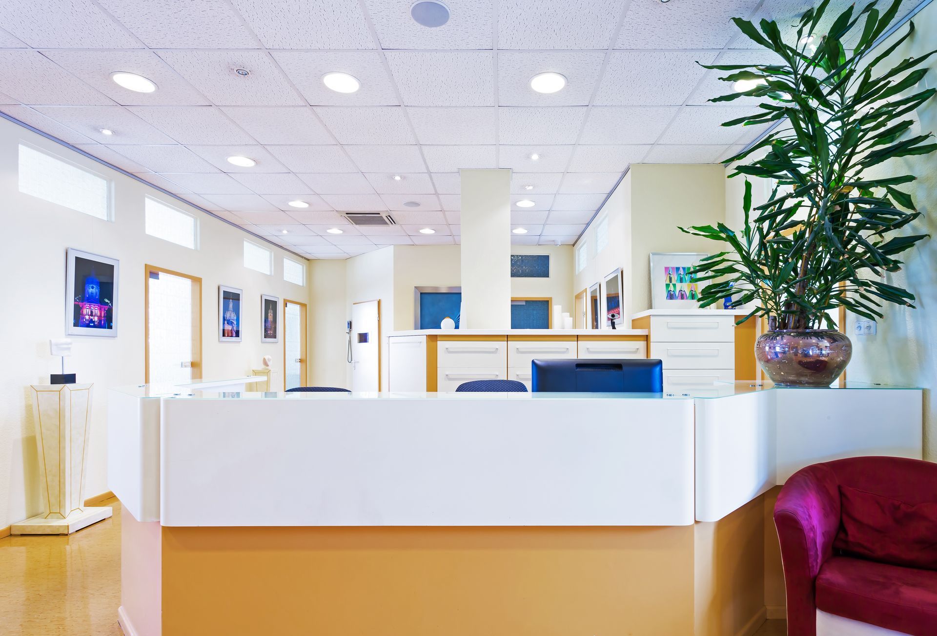 Espace d'accueil lumineux avec un bureau blanc, des chaises bleues et une grande plante près d'un siège rouge.