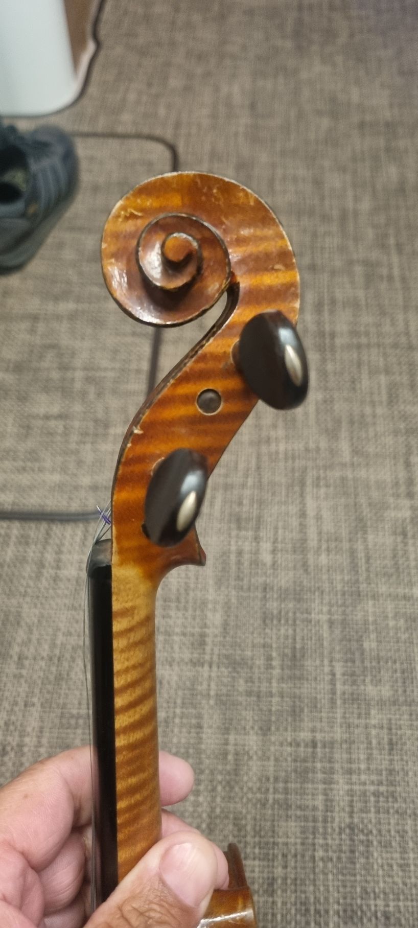 On tient la volute et les chevilles d'un violon. Le bois présente un veinage brun flammé.