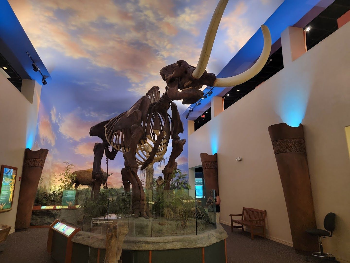 Skeletal mammoth display in a museum exhibit, with tusks and details, set against a painted sky backdrop.