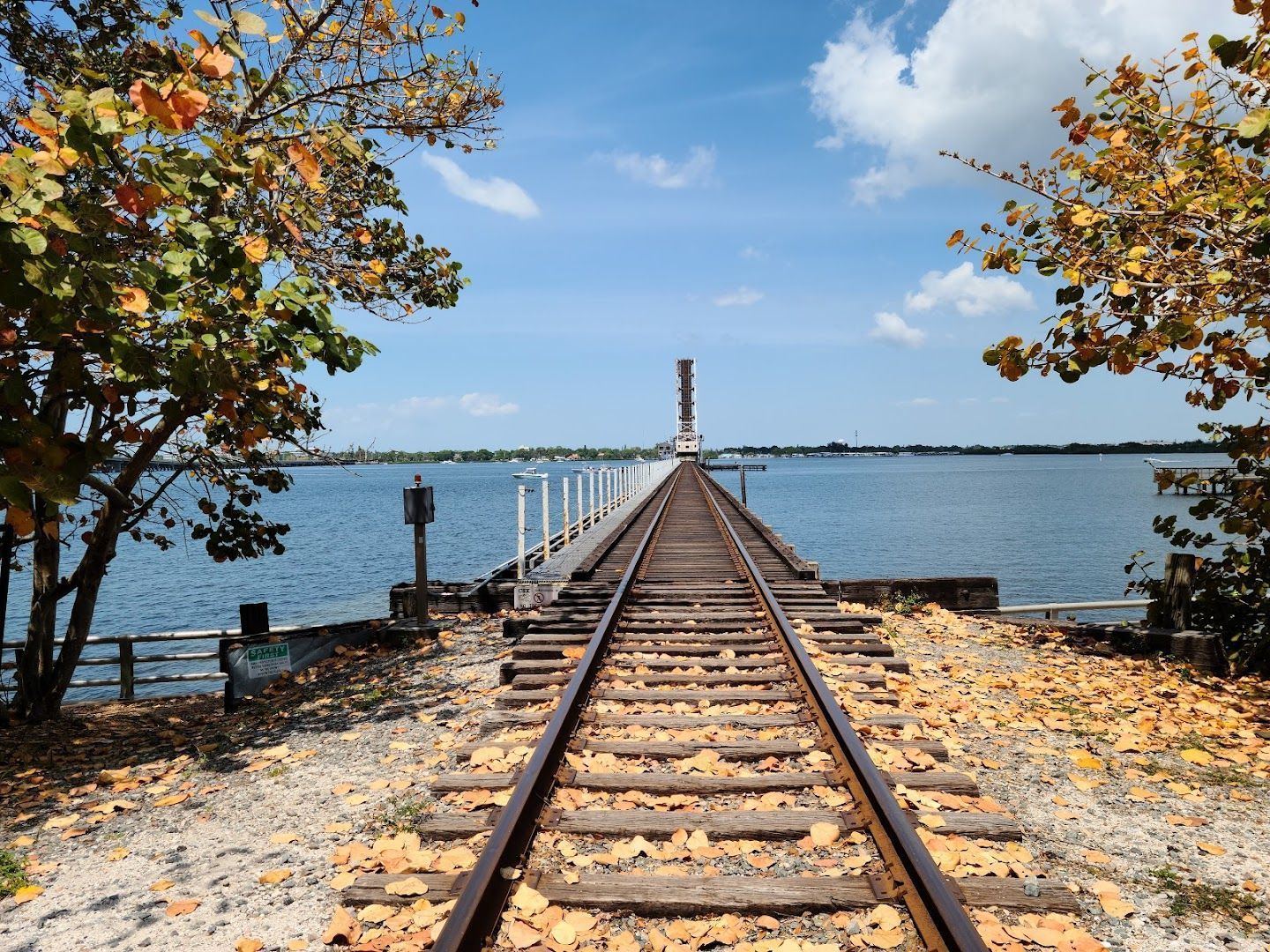 Railroad tracks leading into water, framed by fall foliage, under a blue sky.