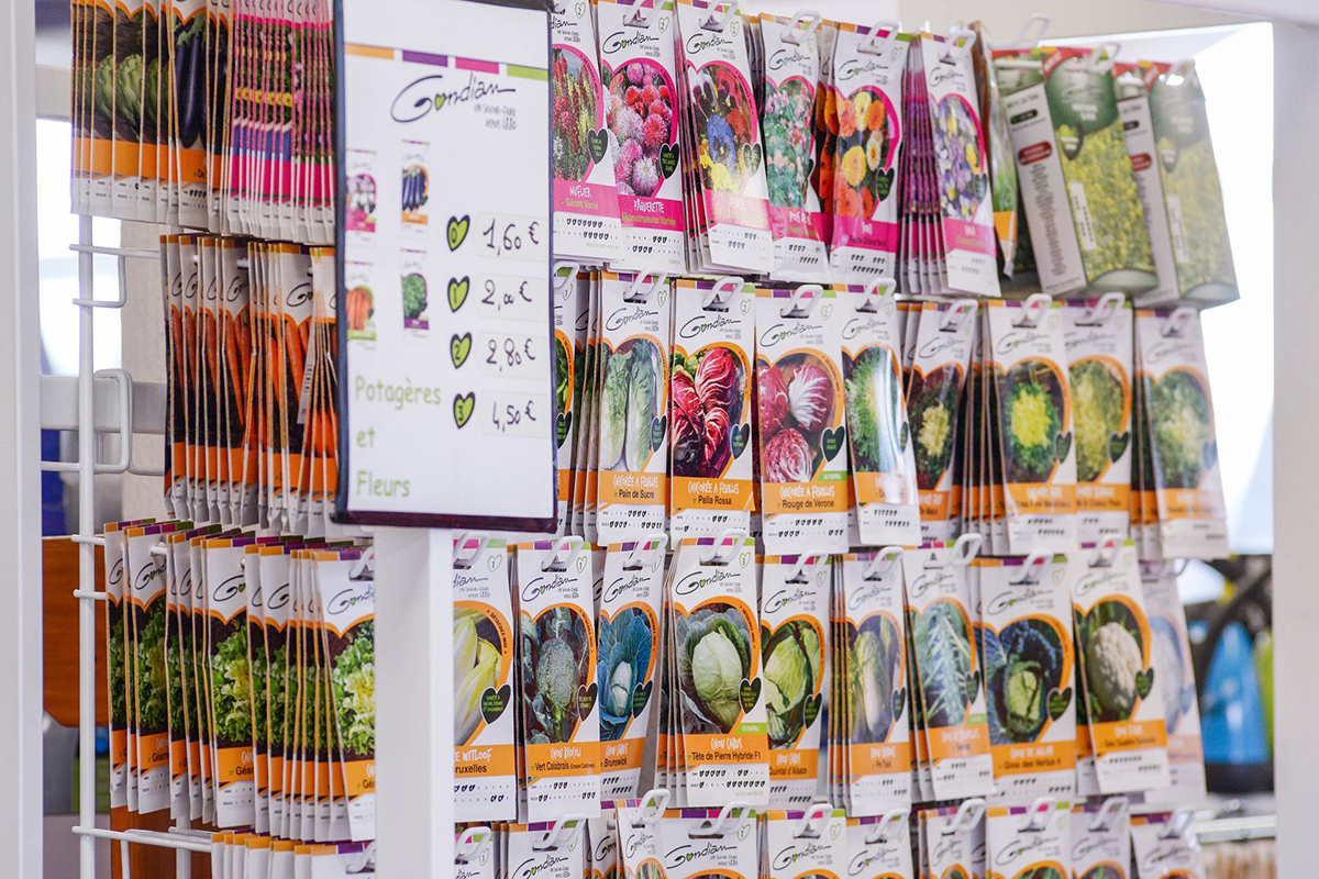 Des graines à planter