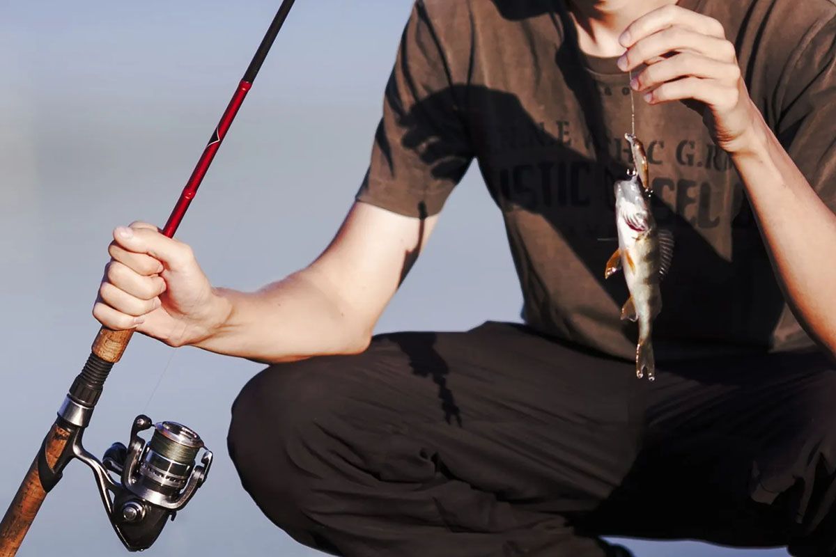 Canne à pêche avec un poisson sur la ligne, vendue par la Station de la Vallée Verte