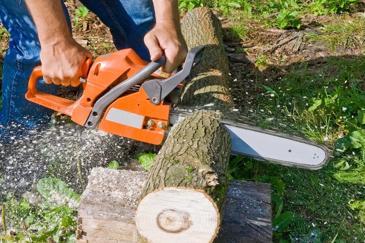 Photo d'une tronçonneuse utilisée et vendue par la Station de la Vallée Verte