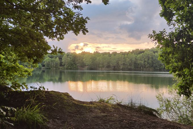 Ein ruhiger See im Sonnenaufgang, umrahmt von Bäumen, auf dessen Wasser sich rosa Wolken spiegeln.