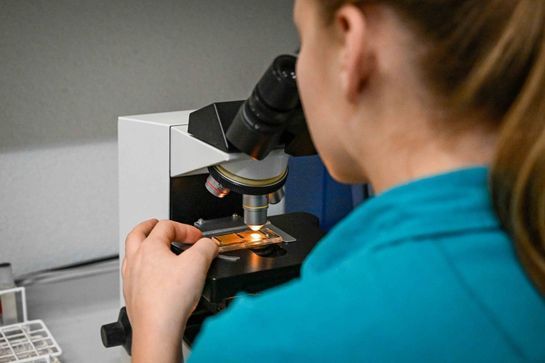 Analyse von Parasiten bei der Pferdeklinik Moosweid