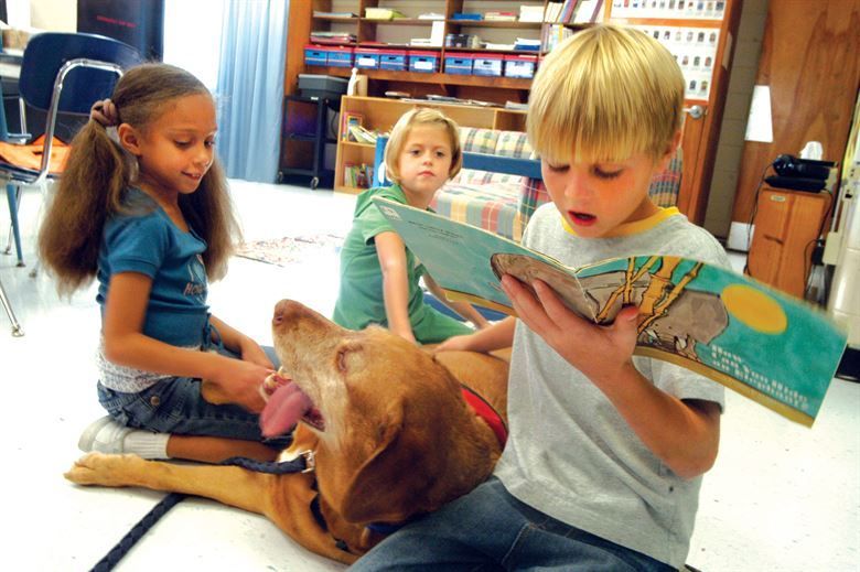 A boy is reading a book to a dog in a classroom
