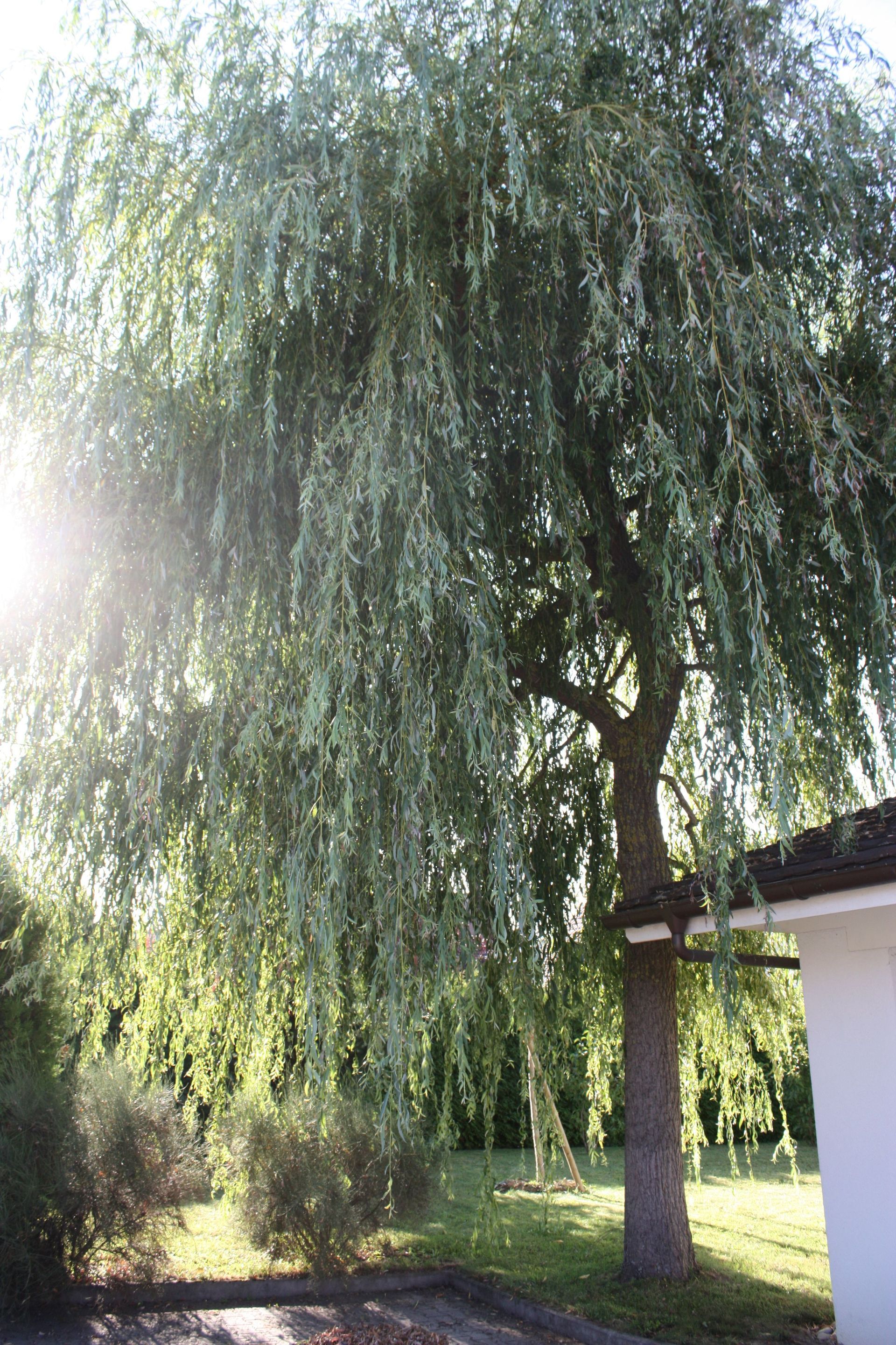 Claire Werro Zufferey - Fribourg - Thérapie de couple