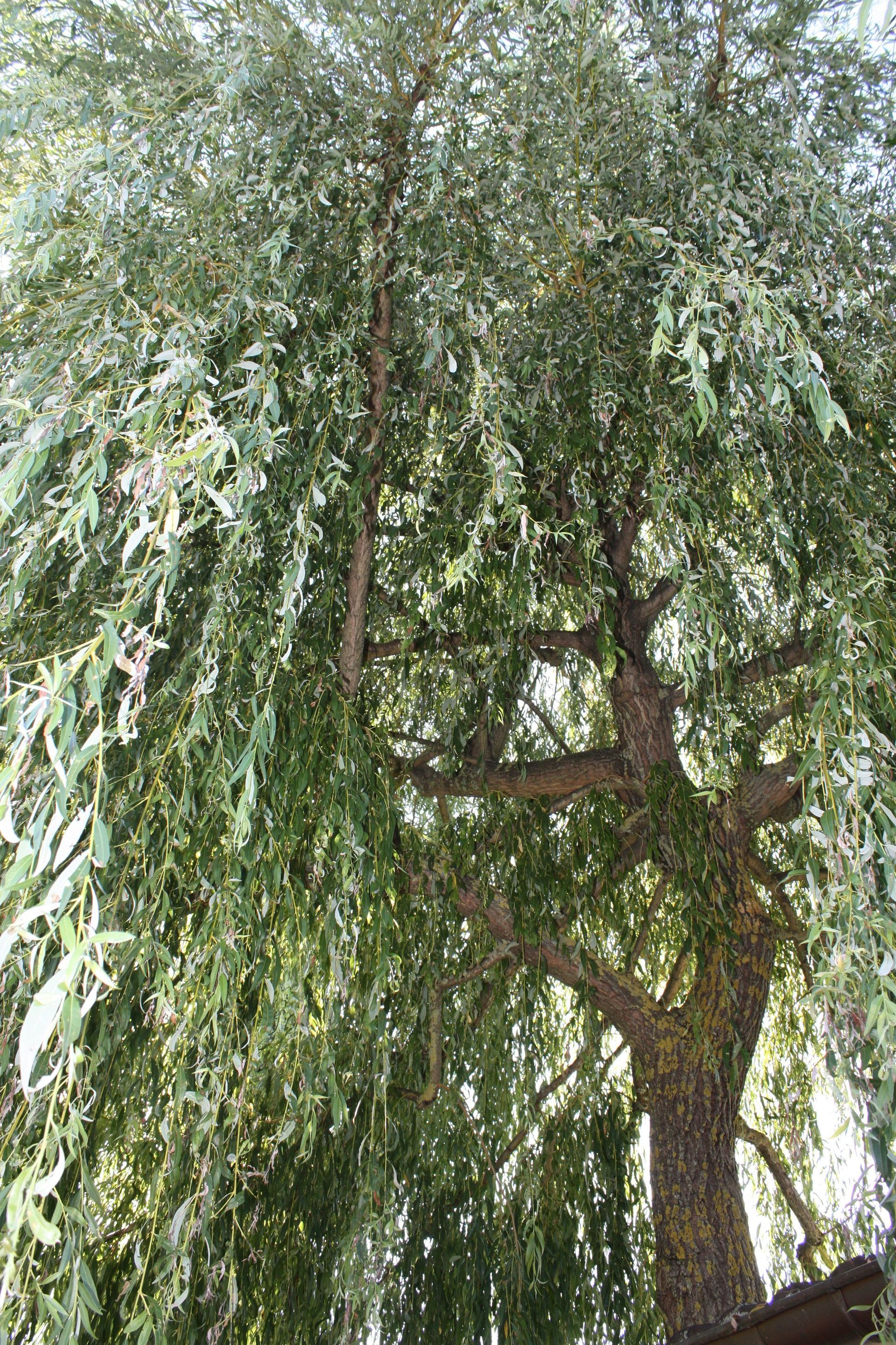 Claire Werro Zufferey - Fribourg - Thérapie de couple