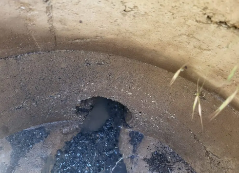 Un pajarito oscuro tendido en un hoyo circular de tierra, visto desde arriba.