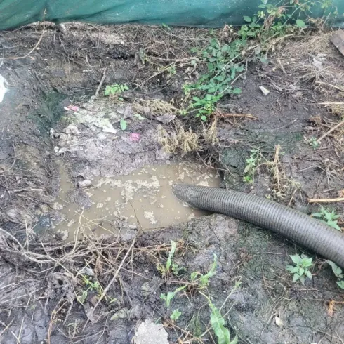 Charco sucio en un terreno embarrado junto a una manguera corrugada y algunas malas hierbas.