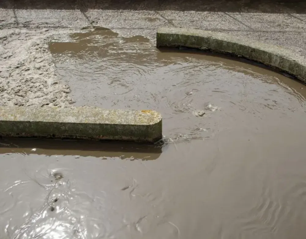 Borde curvo de piedra junto a agua marrón turbia con ondulaciones y terreno embarrado
