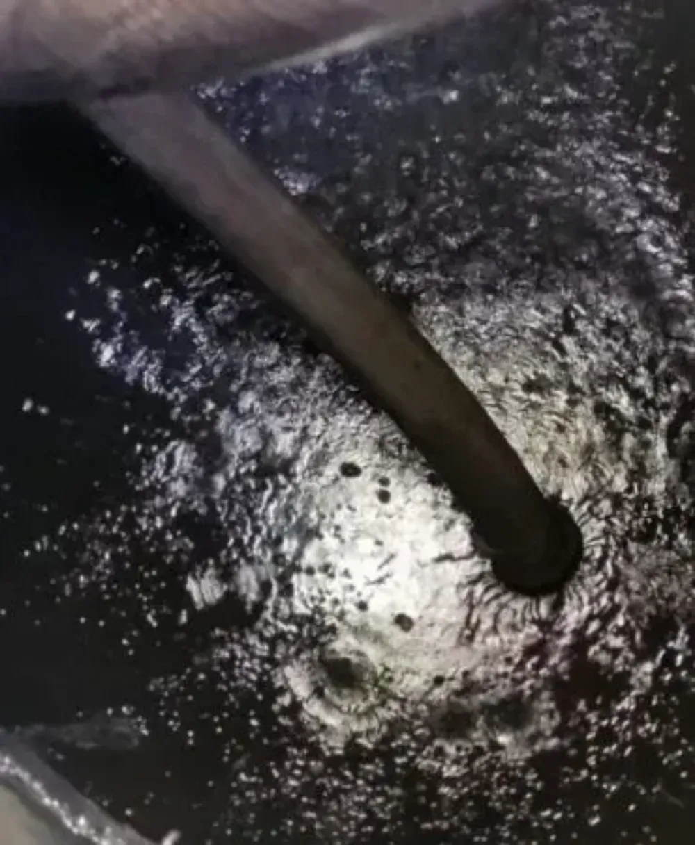 Primer plano de una varilla curva oscura que toca una superficie negra húmeda y moteada, con un reflejo brillante