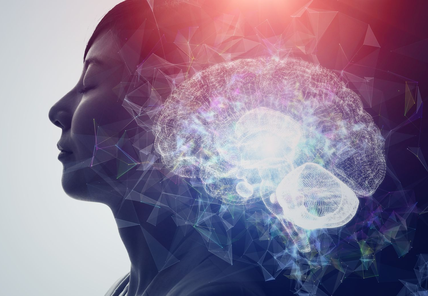Profil de femme avec un cerveau lumineux superposé ; représentant la pensée et la conscience.