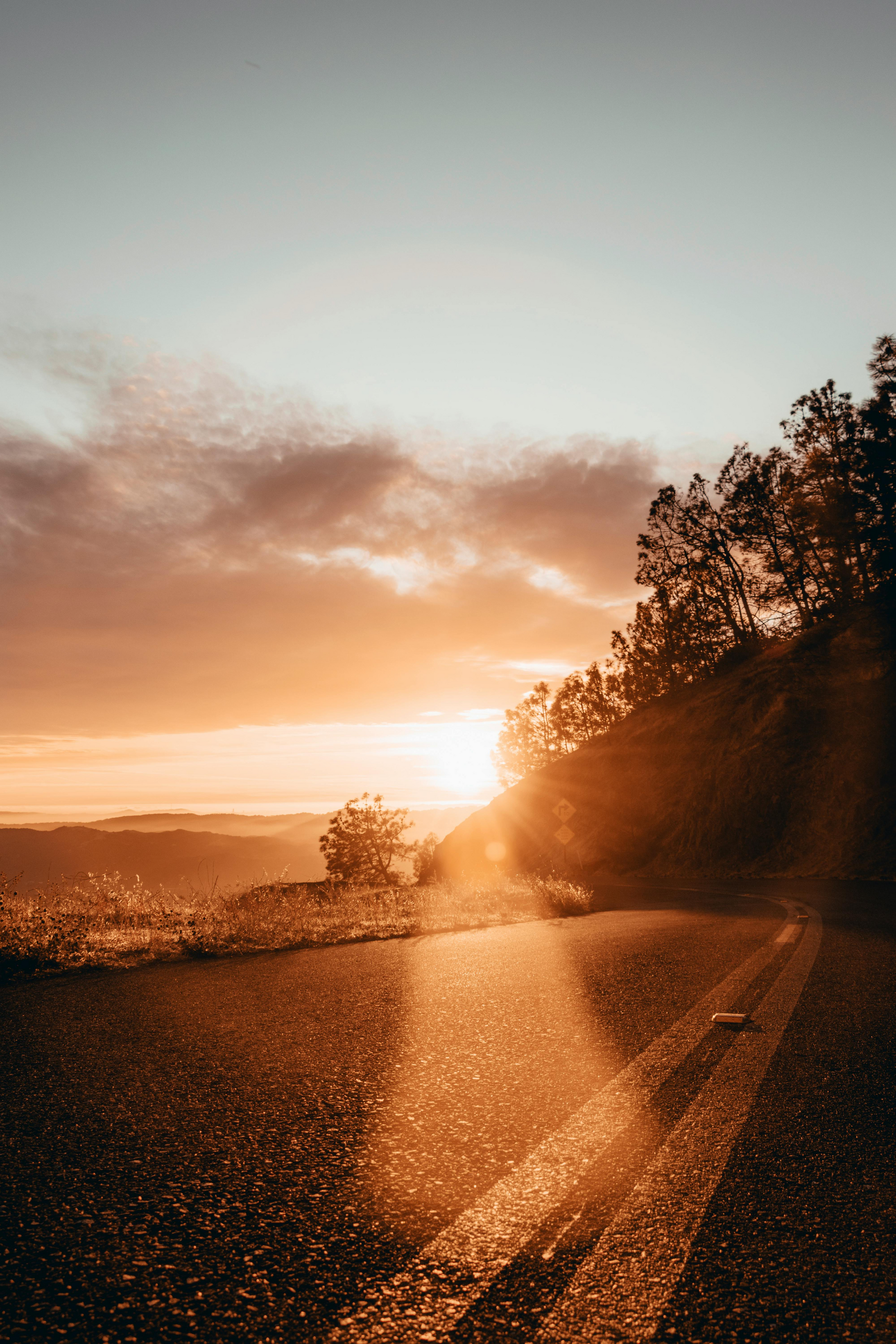 Le coucher de soleil illumine une route sinueuse. Des arbres bordent la route à droite. 