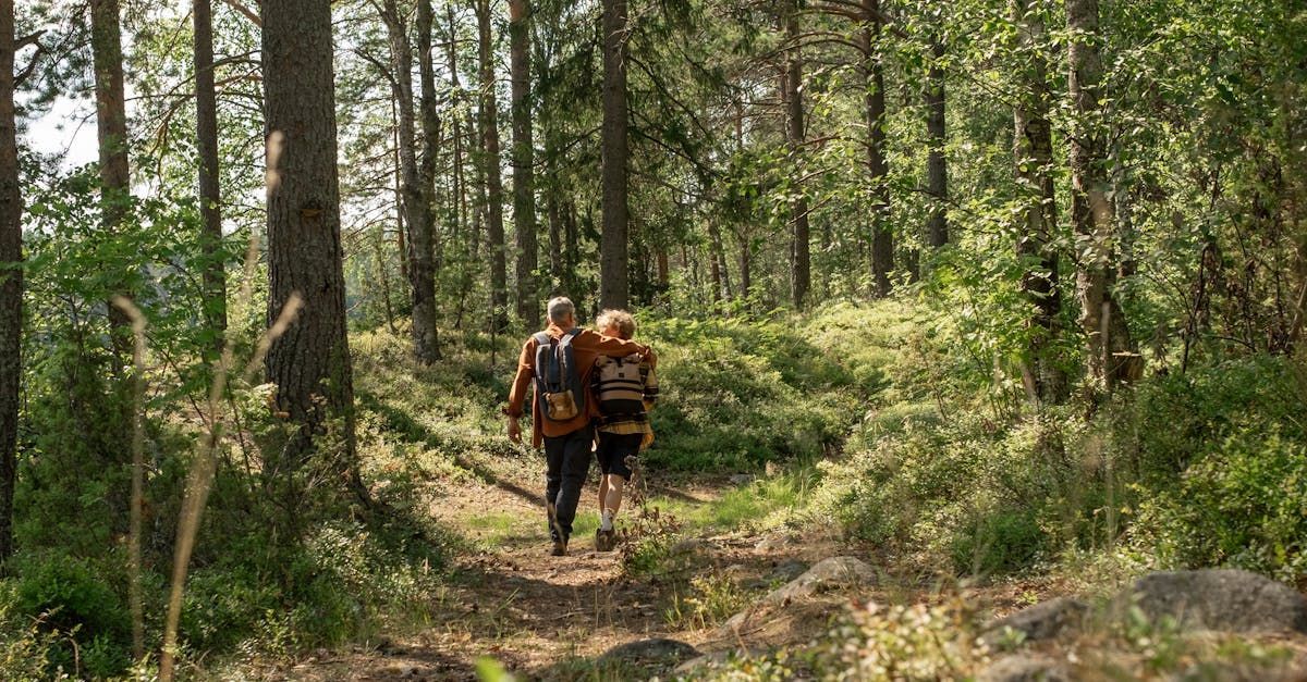 Ein Paar wandert durch einen Wald.