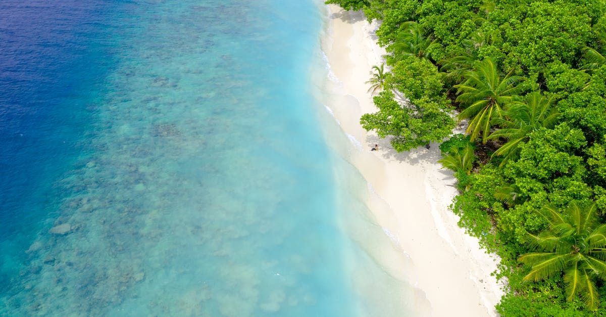 An aerial view of a tropical beach with palm trees and turquoise water.