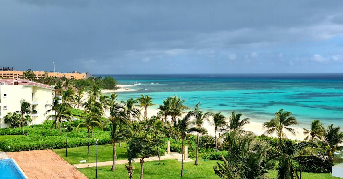 An aerial view of a tropical beach with palm trees and a swimming pool.