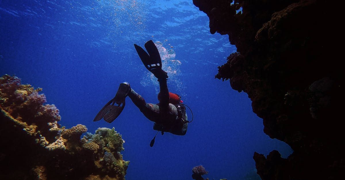 Scuba Diving in Miami: Dive Spots to Check Out