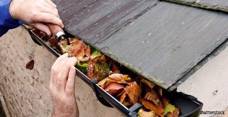 Nettoyage antimousse