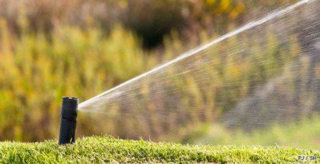 Arrosage automatique d'une pelouse de jardin
