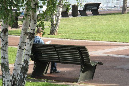 Un banc public avec une personne en chemise bleue qui lit un livre