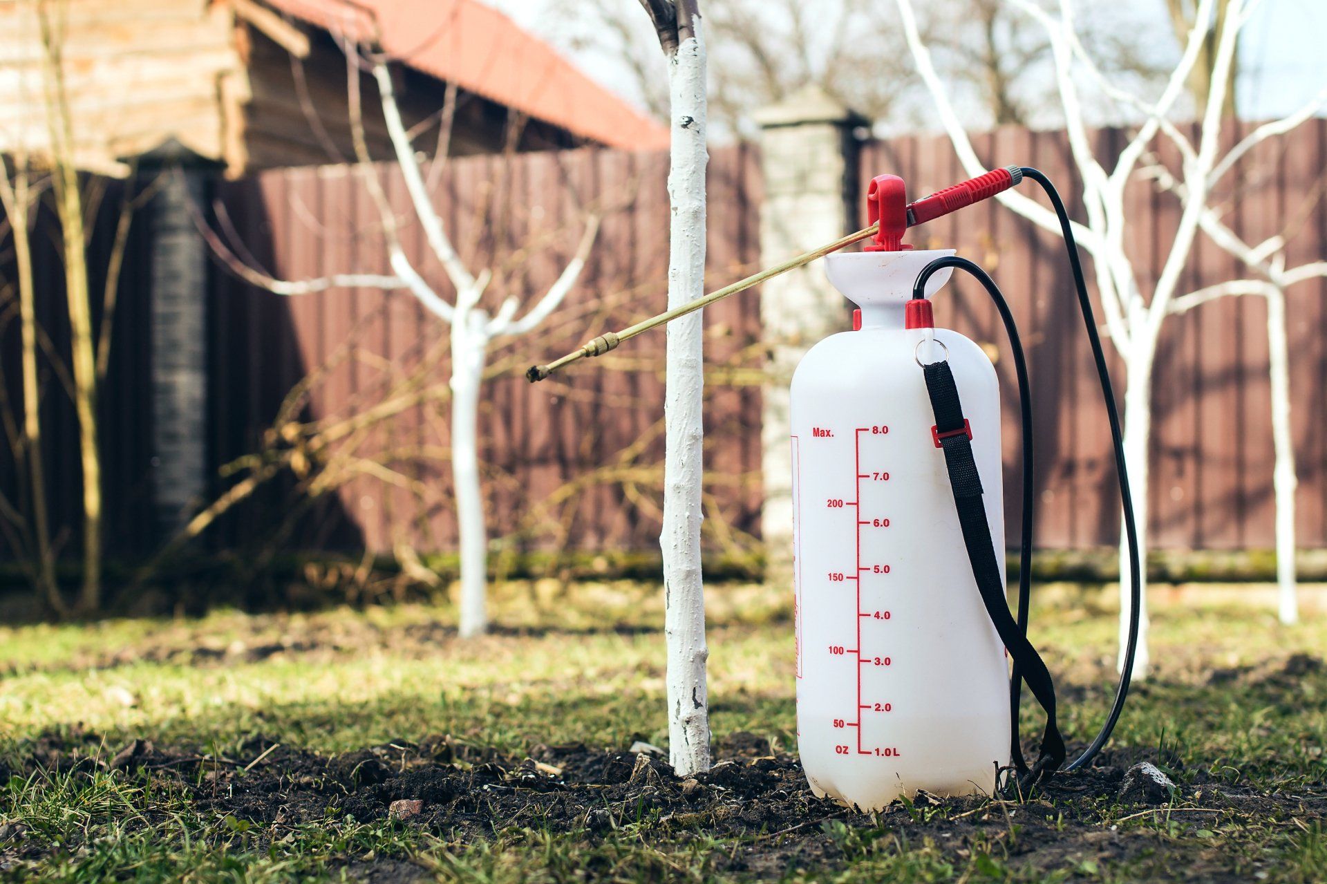 Entretien des végétaux