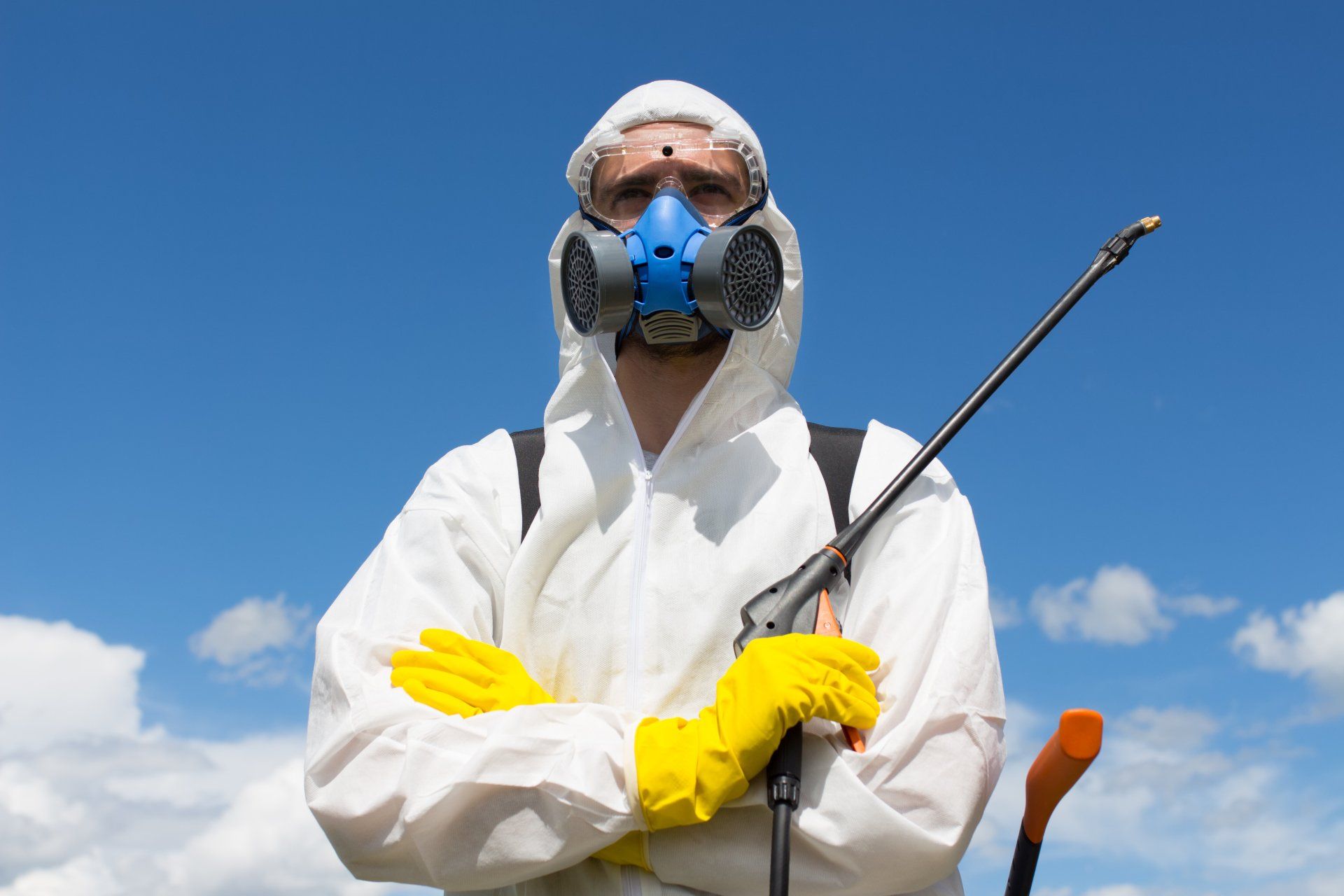 Désherbage du gazon