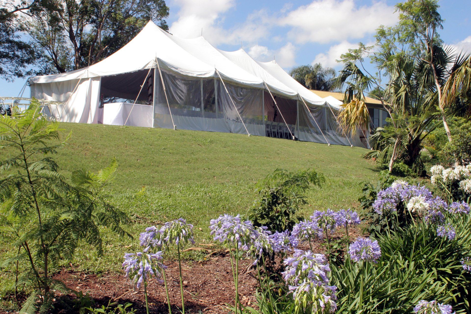 Chapiteau dans un parc avec fleurs en gros plan