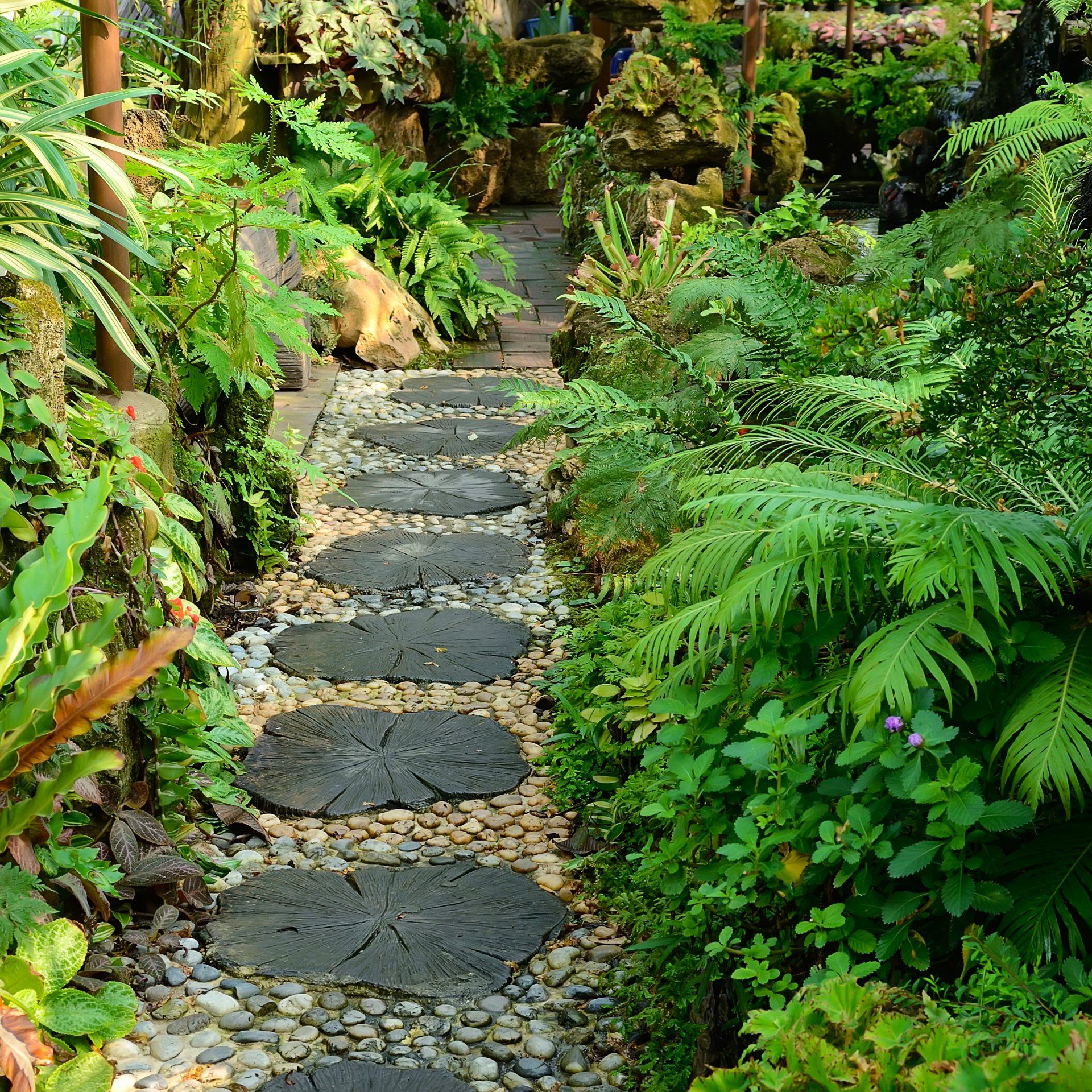 Allée de jardin