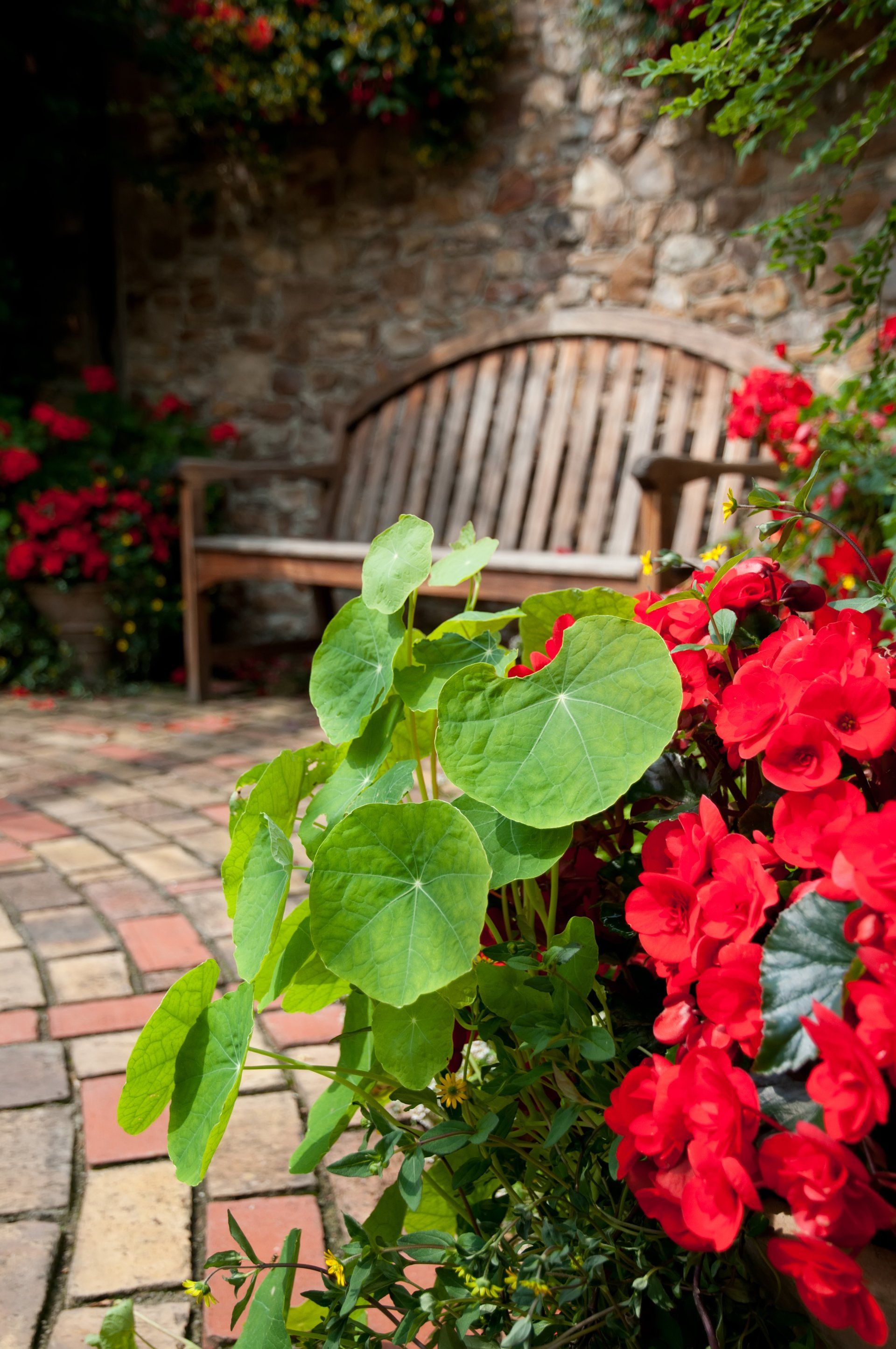 Aménagement extérieur