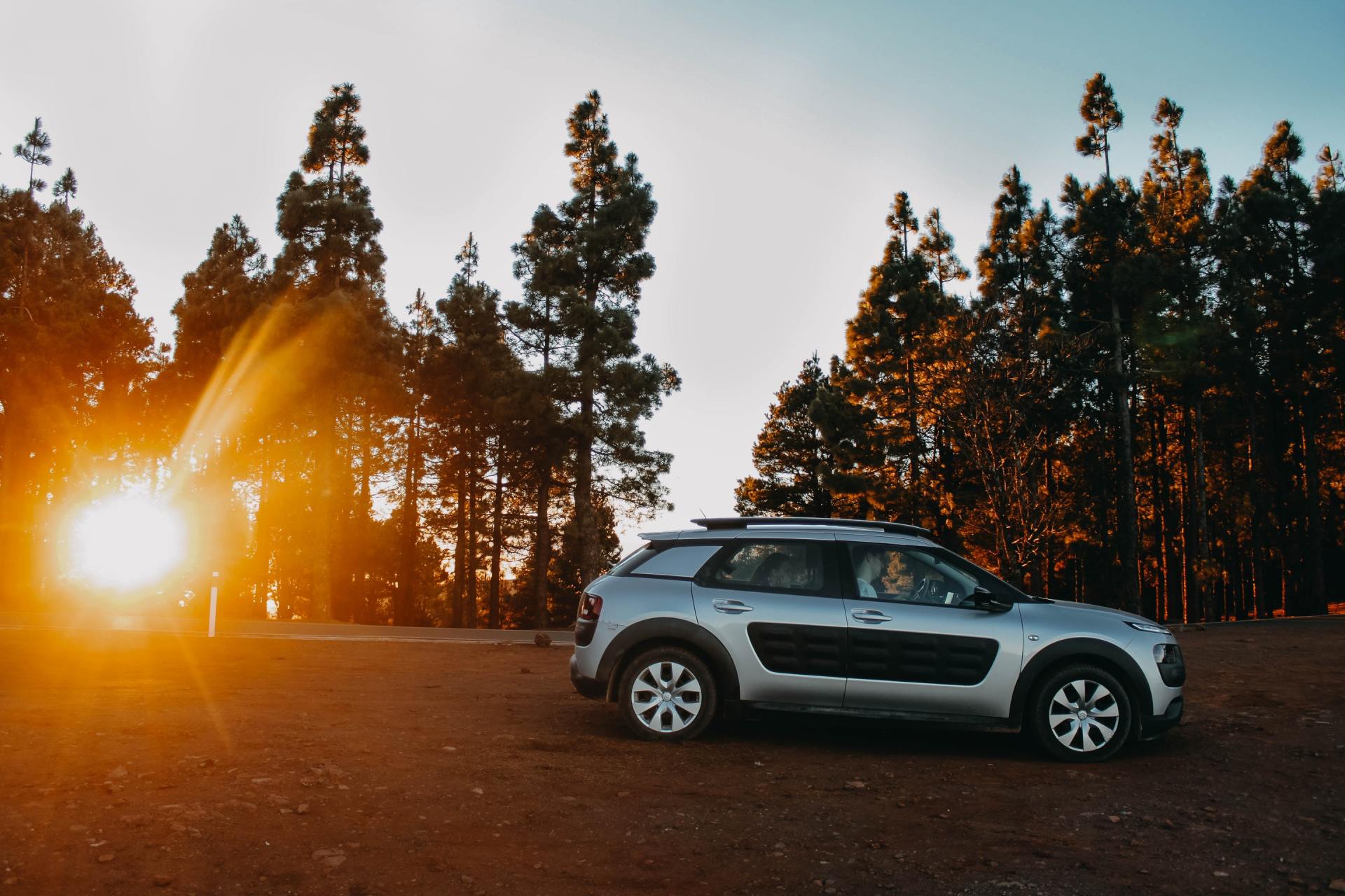 C4 Cactus de la marque Citroën