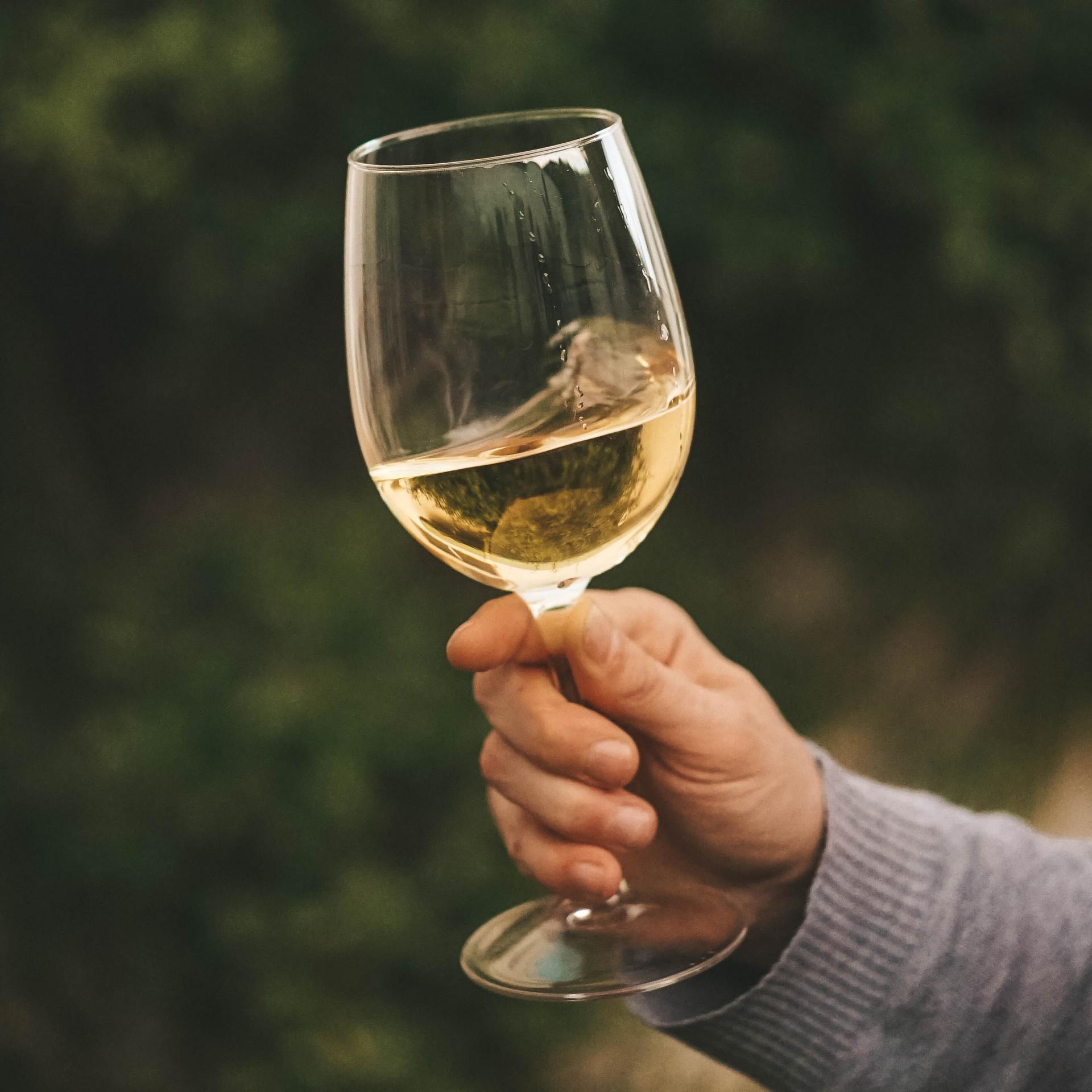 une main d'homme tient un verre de vin blanc