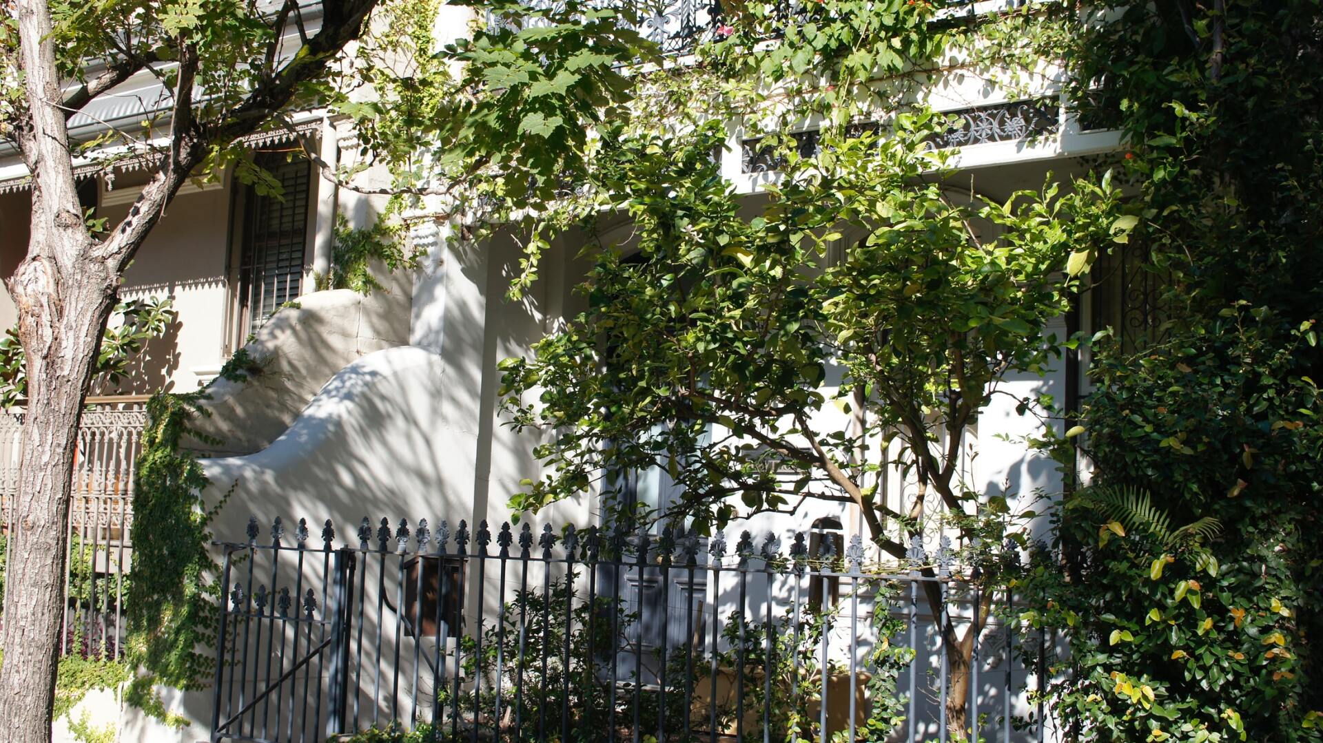 Grillage et végétation