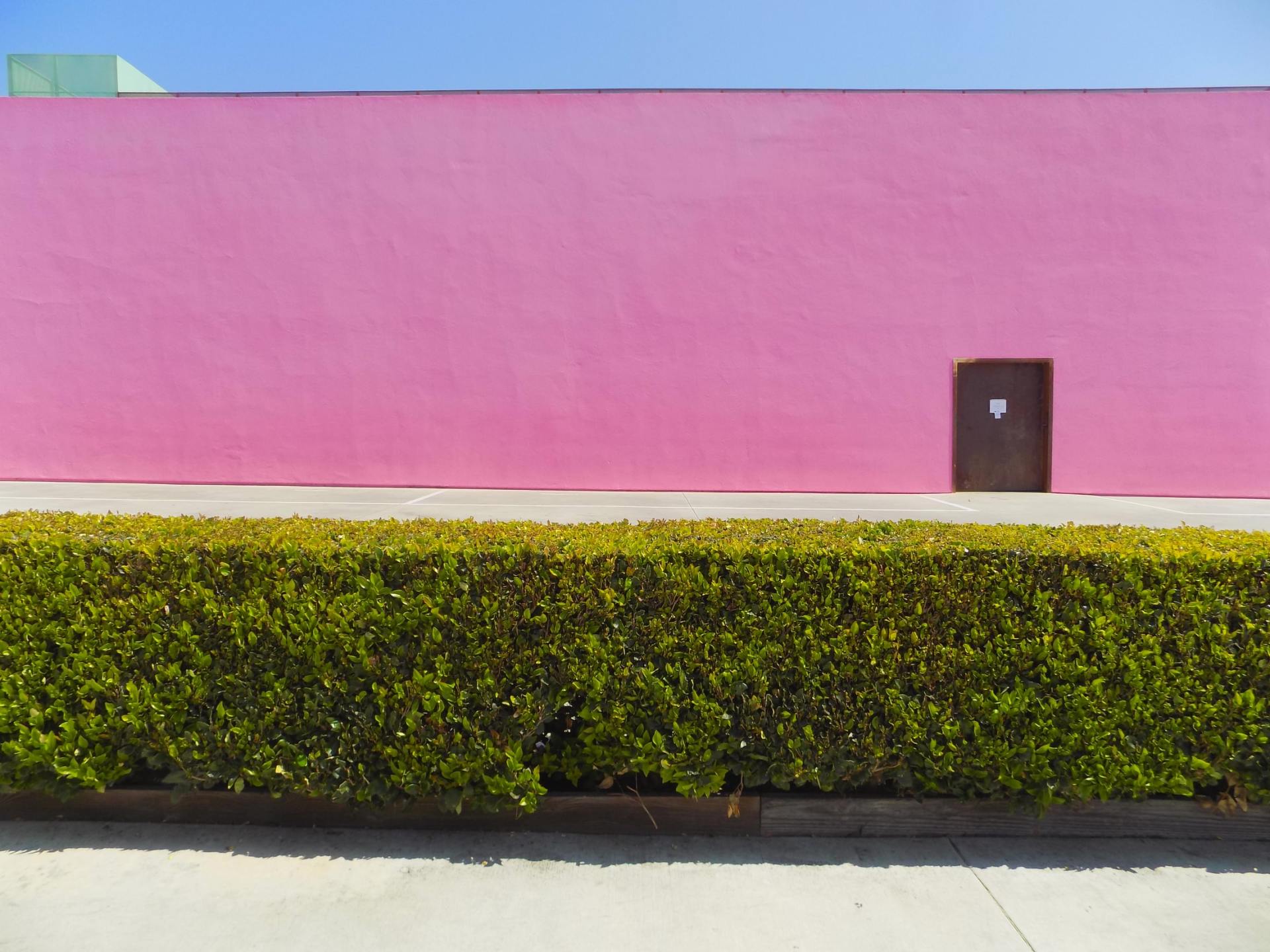 Haie taillée devant un bâtiment rose