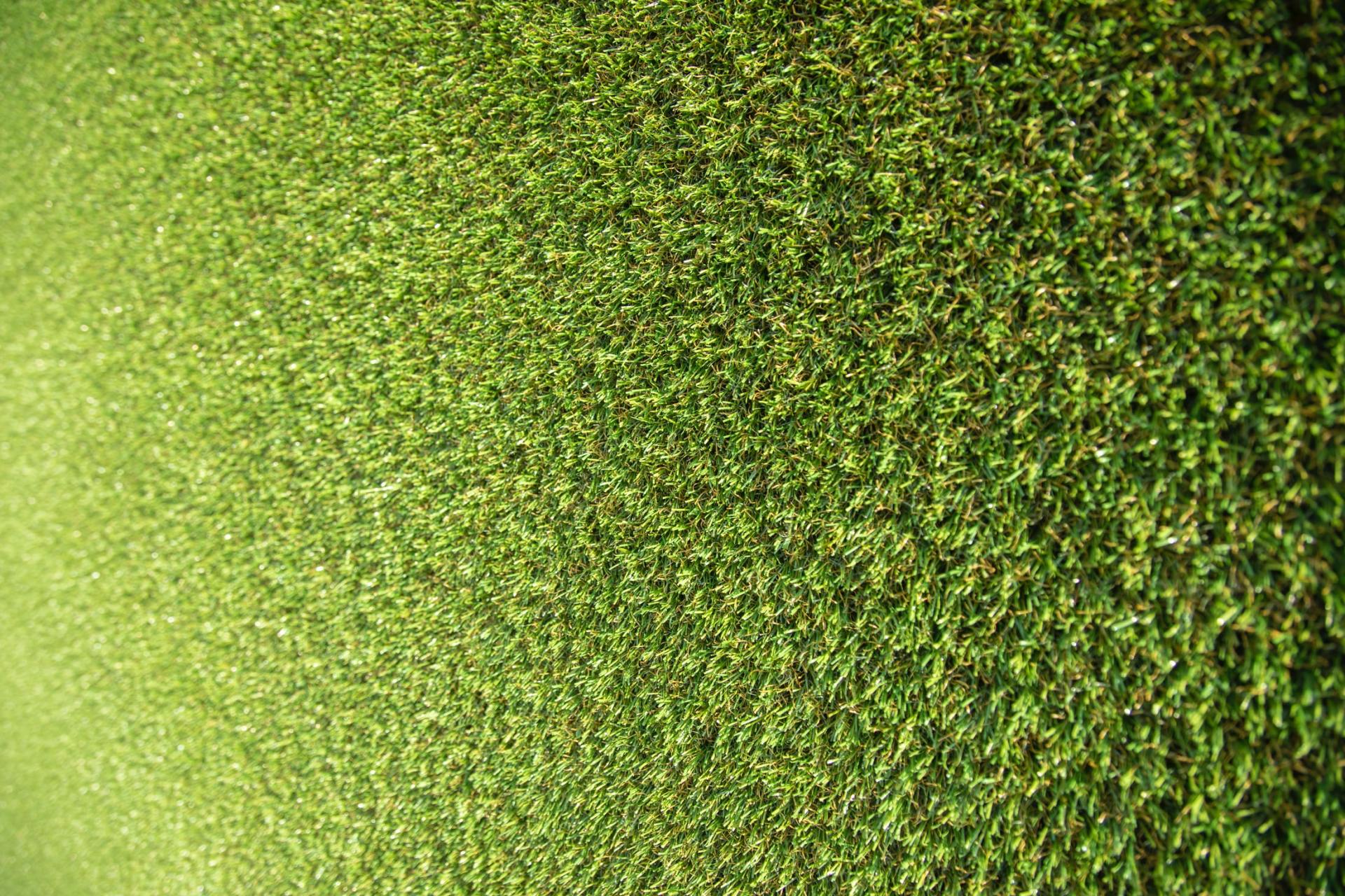 Gazon synthétique