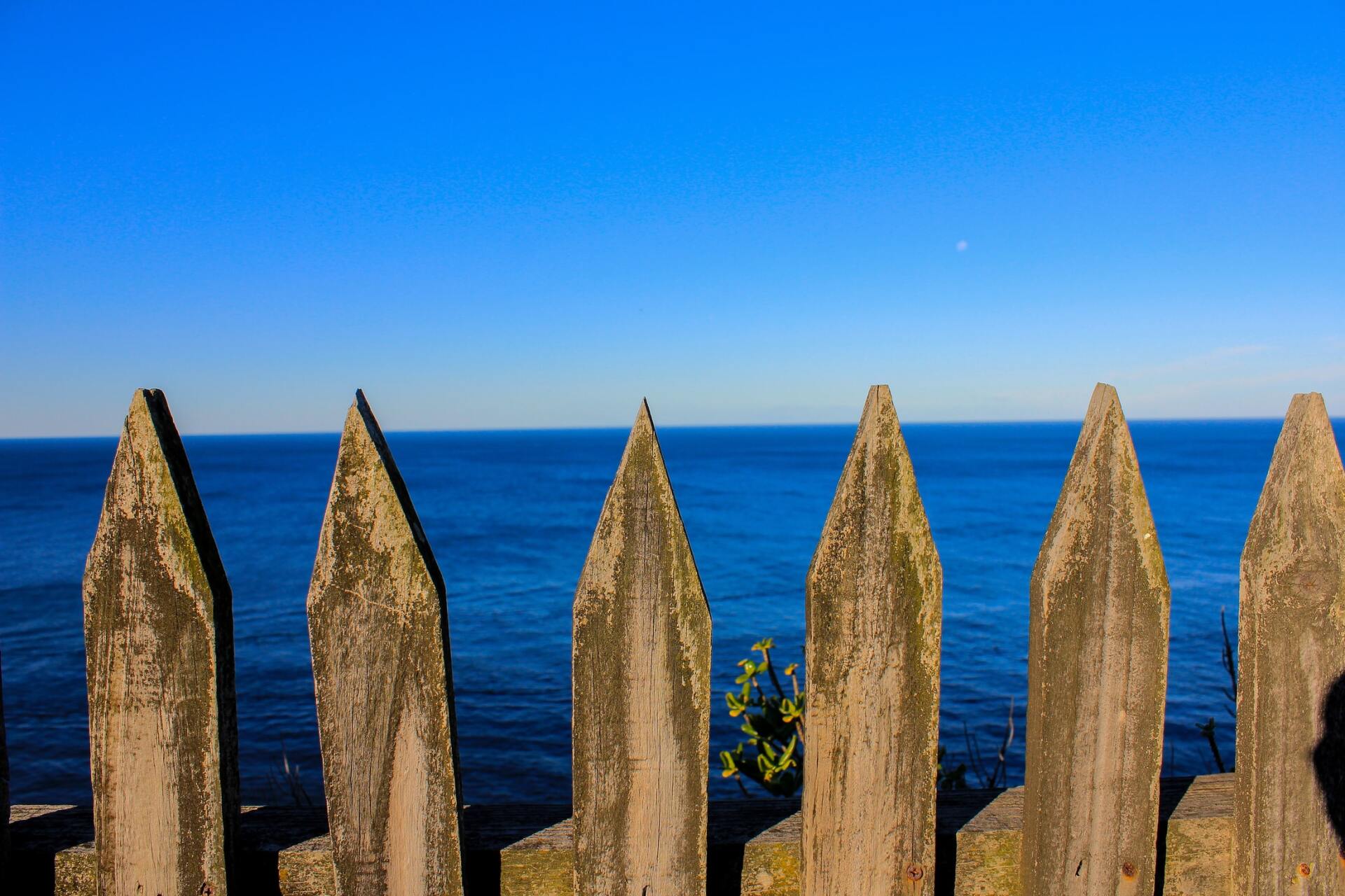 Piquet de clôture en bois