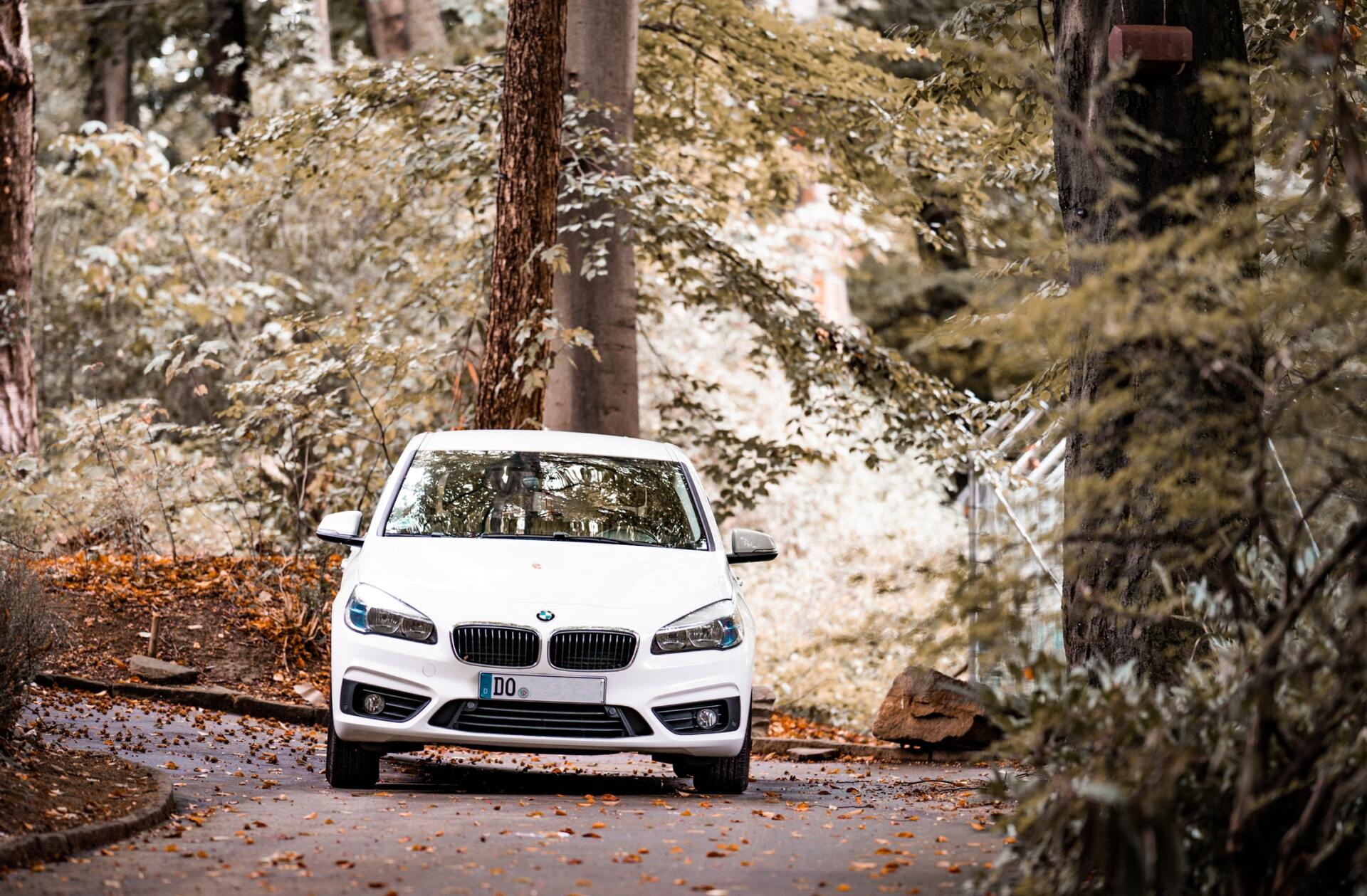 Voiture dans la forêt