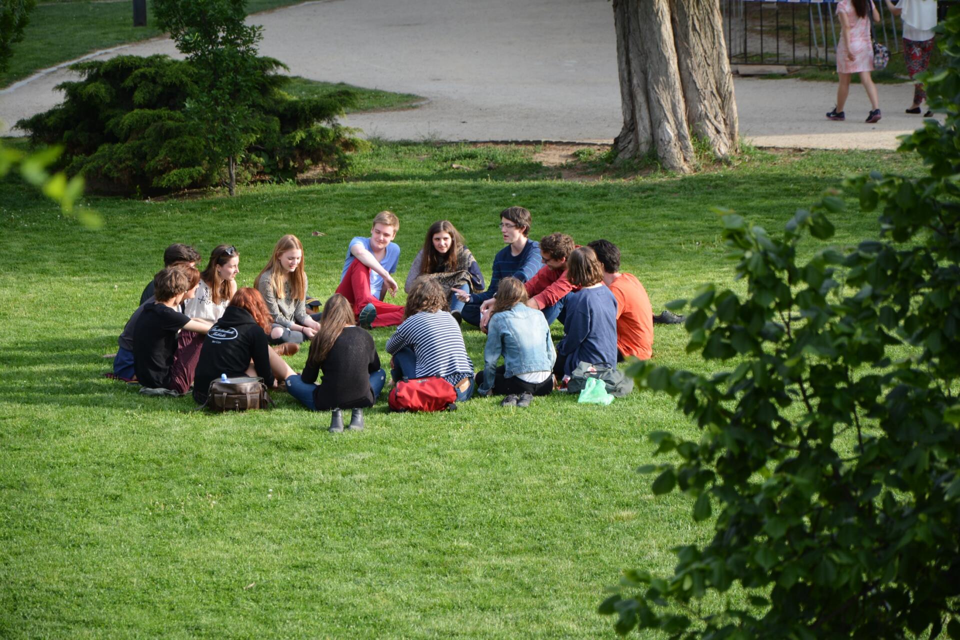 Un groupe dans l'herbe.