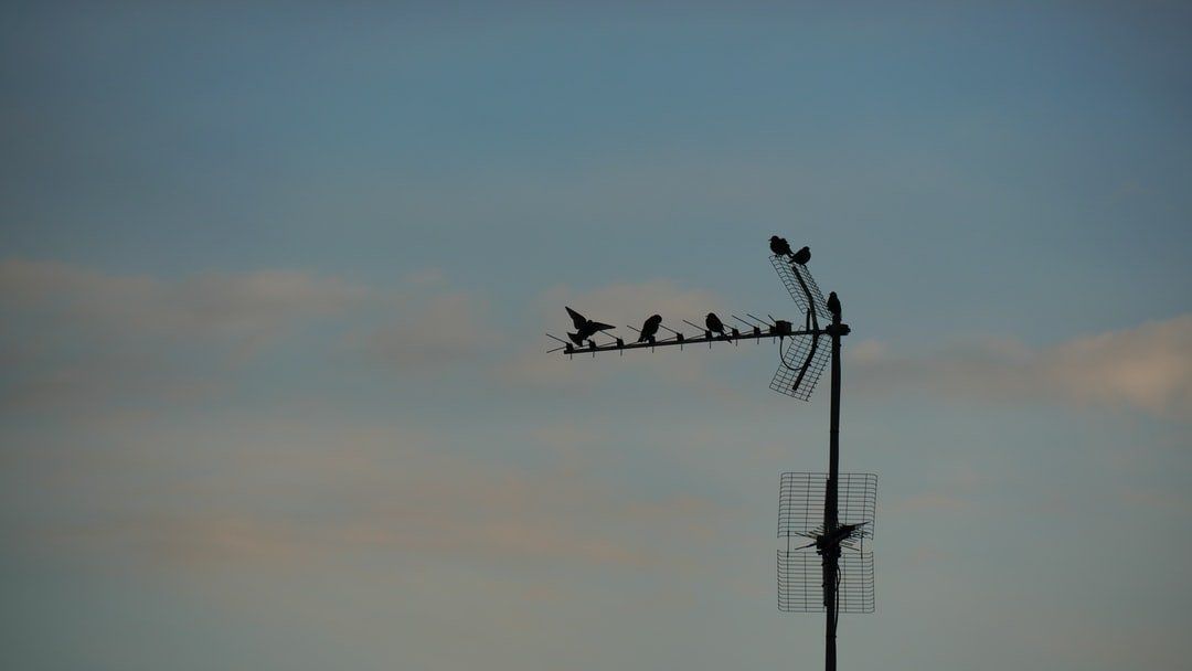 Antenniste professionnel